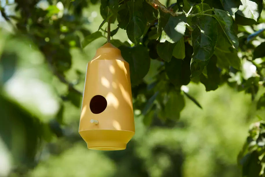 media_ambienceimage_2