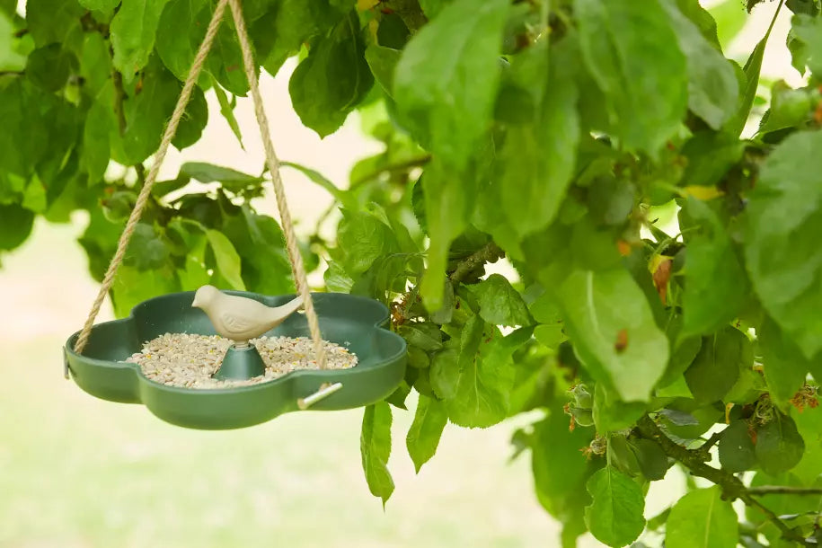 media_ambienceimage_1