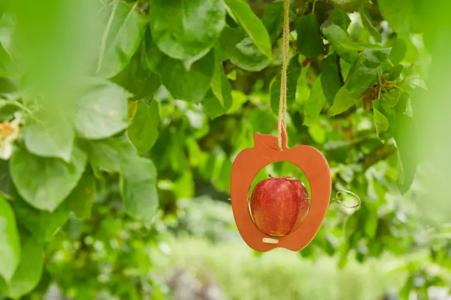 media_ambienceimage_1