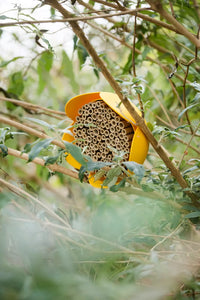 Insectenhotel bloem uit bamboevezel geel ø 20cm