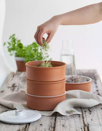 Germoir à 3 étages en terre cuite