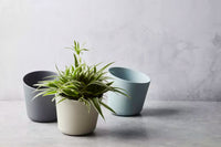 Kruidenpot uit bamboevezel donkergrijs