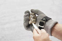 2-piece set of oyster knife and guard