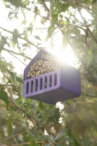 Insect hotel house made of bamboo fibre purple 16x13x16cm