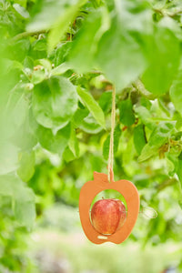 Voederhuisje appel vogels uit bamboevezel vintage maroon