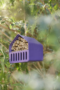 Insect hotel house made of bamboo fibre purple 16x13x16cm