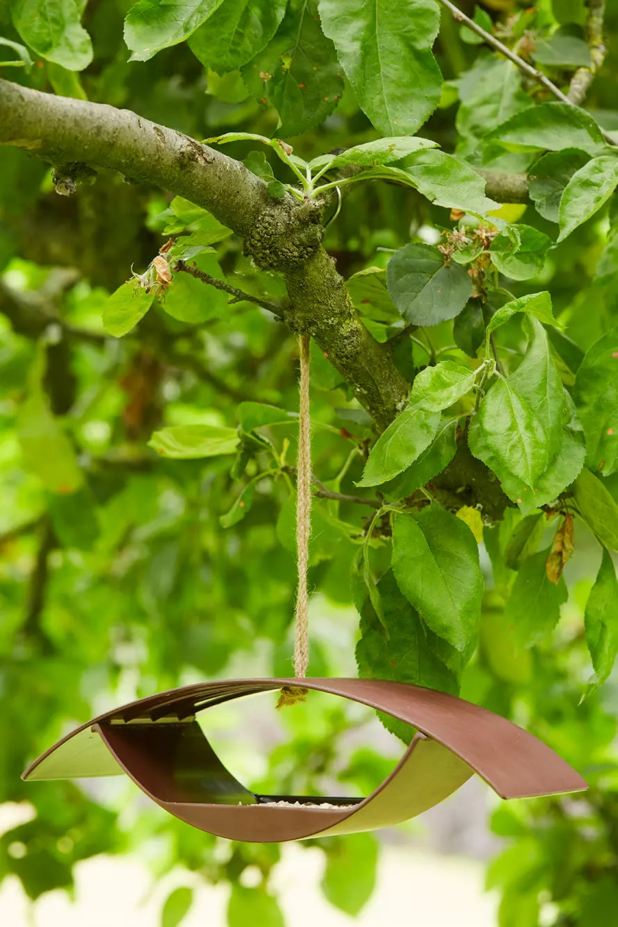 media_ambienceimage_2