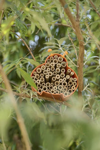 Bee and insect hotel made of bamboo fibre orange 16x15x12cm