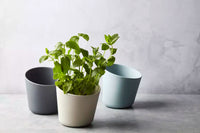 Kruidenpot uit bamboevezel mist blauw