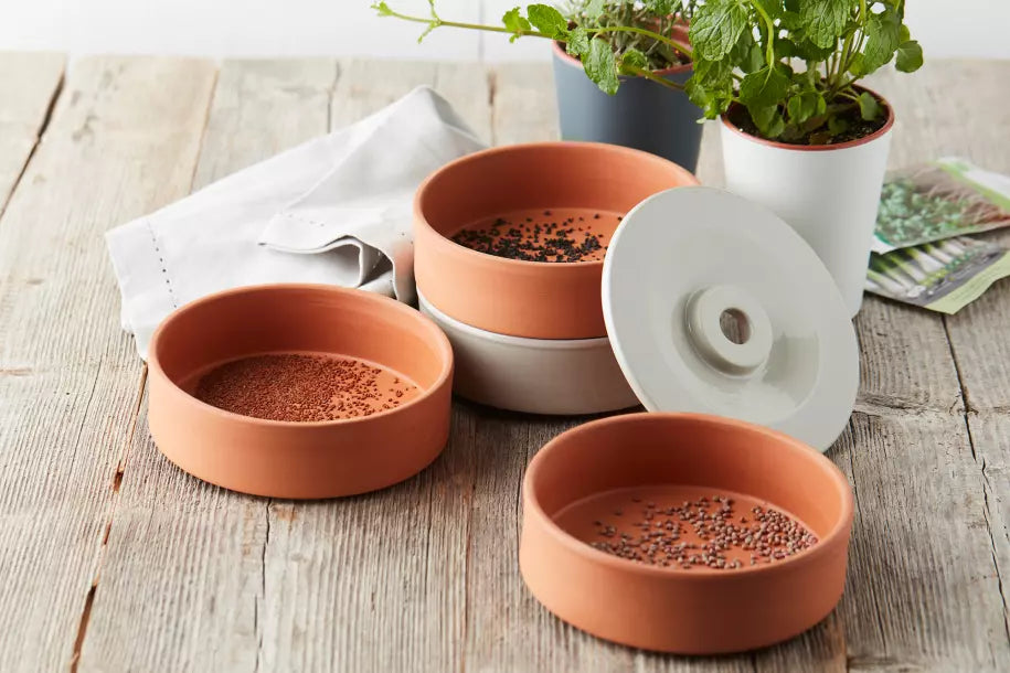 media_ambienceimage_2