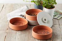 Germoir à 4 étages en terre cuite