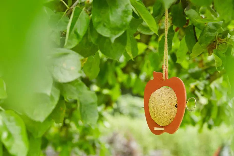 media_ambienceimage_2