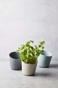 Kruidenpot uit bamboevezel donkergrijs