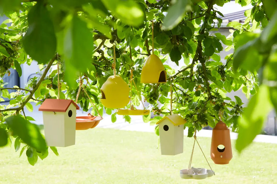 media_ambienceimage_1