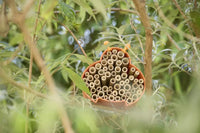 Bee and insect hotel made of bamboo fibre orange 16x15x12cm
