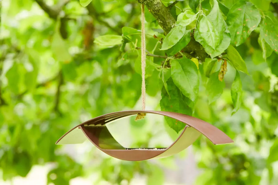 media_ambienceimage_1