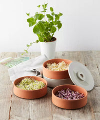 Germoir à 4 étages en terre cuite