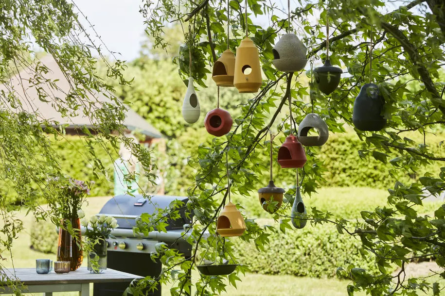 media_ambienceimage_5