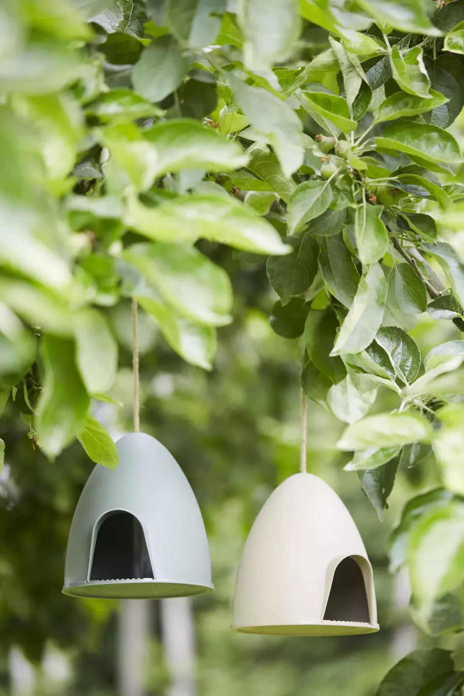 media_ambienceimage_3