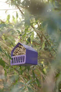 Insect hotel house made of bamboo fibre purple 16x13x16cm