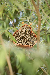 Bee and insect hotel made of bamboo fibre orange 16x15x12cm
