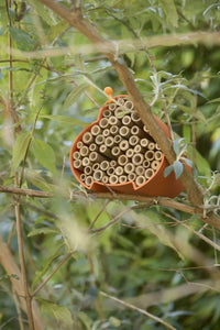 Bee and insect hotel made of bamboo fibre orange 16x15x12cm