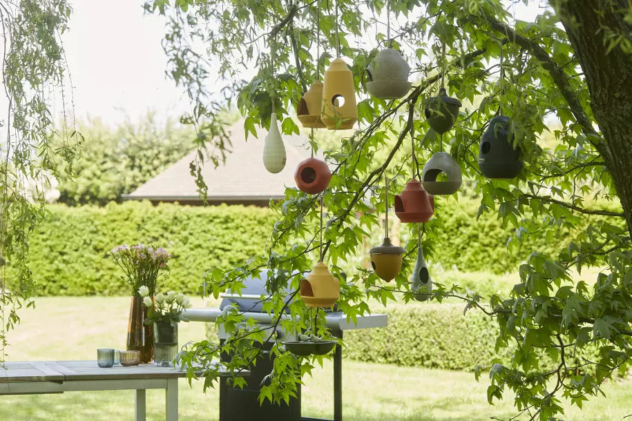 media_ambienceimage_4