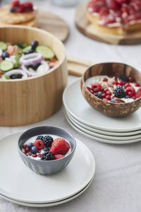 Bol en noix de coco naturel