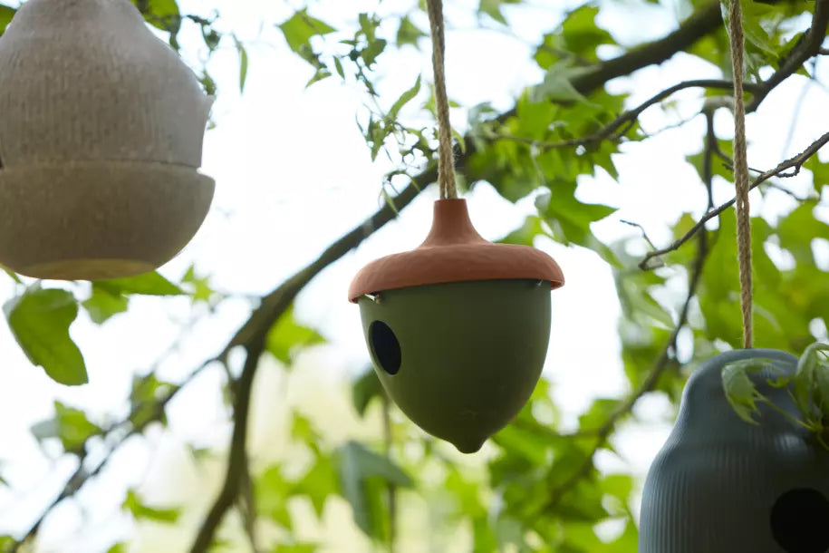 media_ambienceimage_3