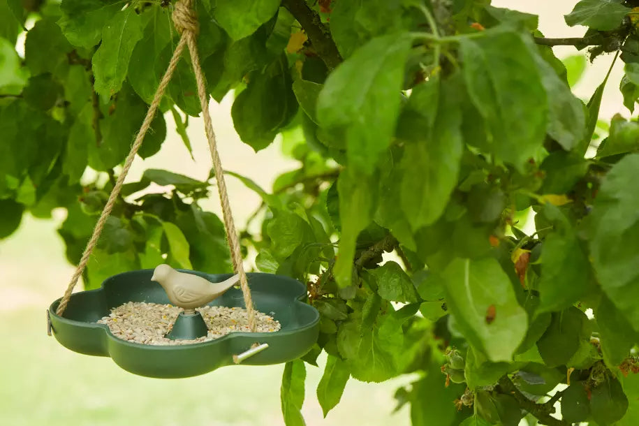 media_ambienceimage_3