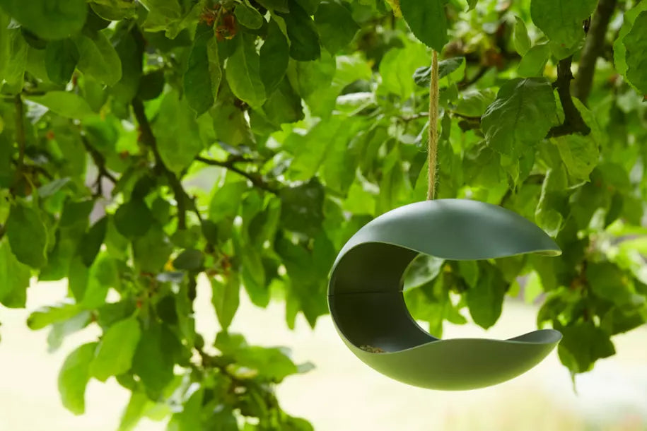 media_ambienceimage_3