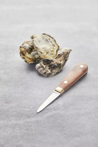 2-piece set of oyster knife and guard