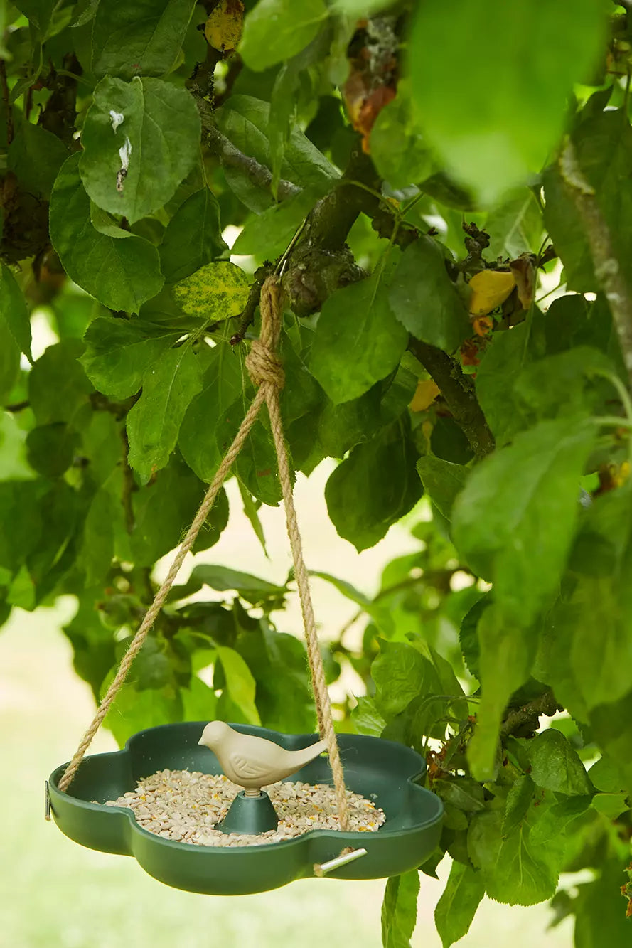 media_ambienceimage_2