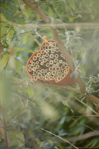 Bee and insect hotel made of bamboo fibre orange 16x15x12cm