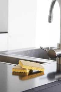 Set van 2 schuursponzen uit kokosvezel