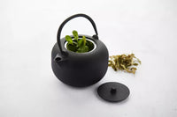 Teapot 900ml