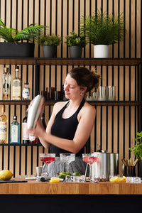 5-delige cocktailset met Boston shaker