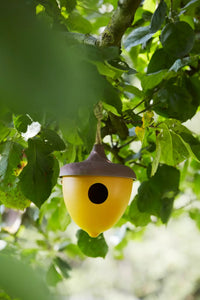 Nichoir en fibre de bambou gland ocre