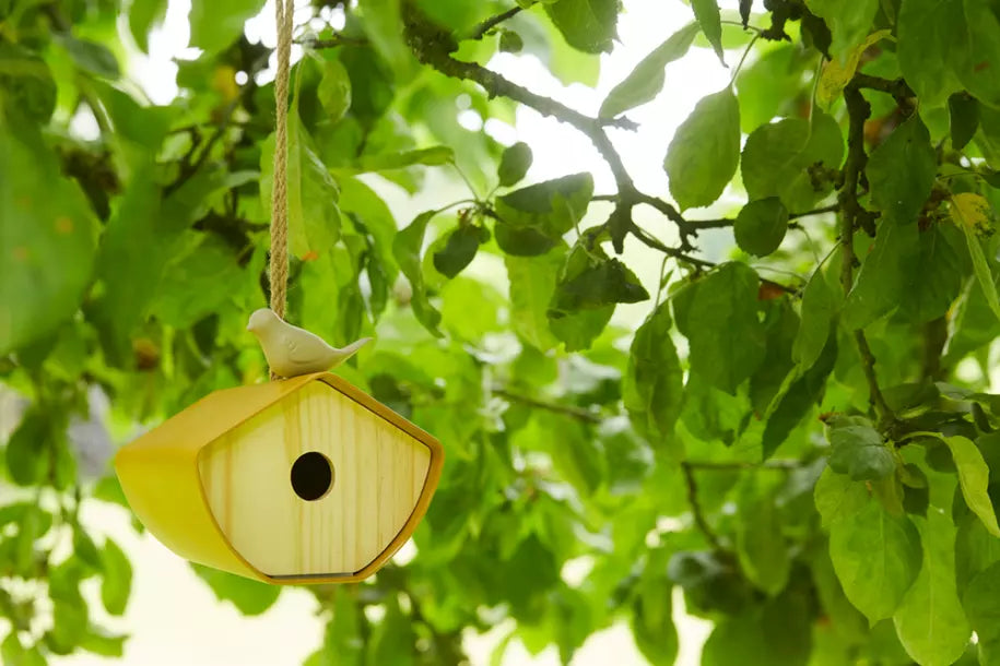 media_ambienceimage_2