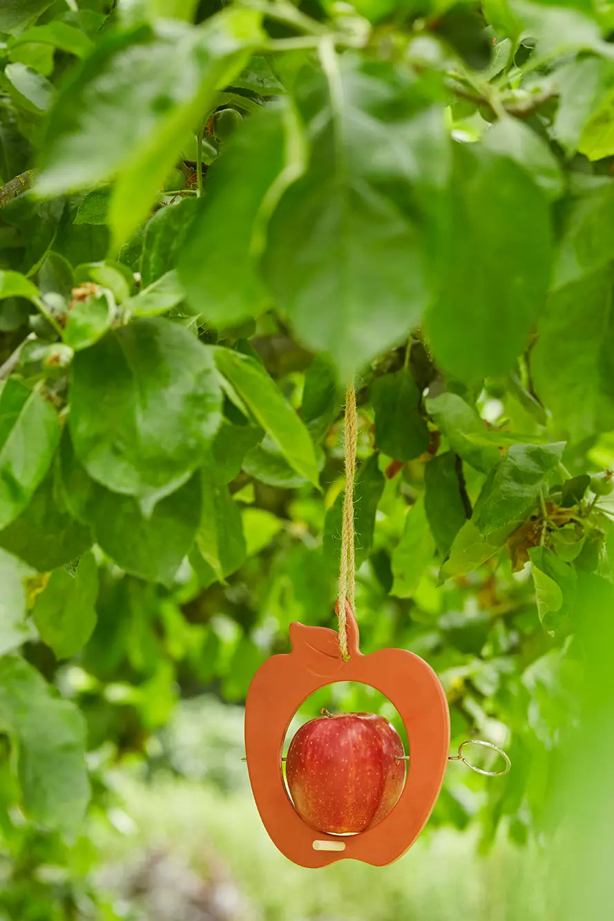 media_ambienceimage_3