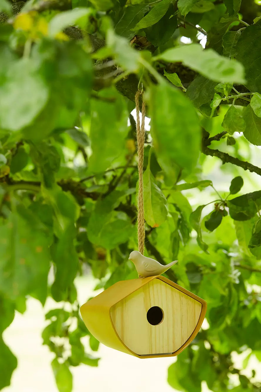 media_ambienceimage_1