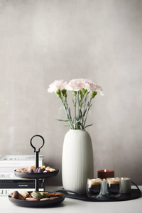 Wire présentoir noir mat ø 20.5cm