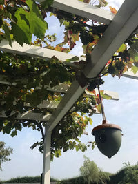 Nichoir en fibre de bambou gland vert