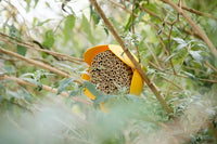 Insectenhotel bloem uit bamboevezel geel ø 20cm