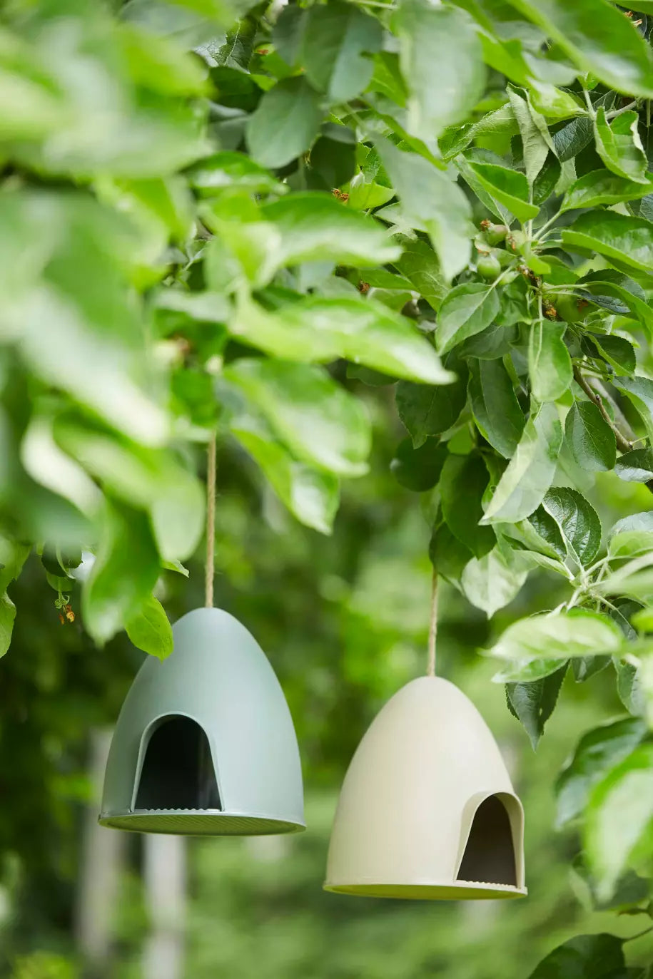 media_ambienceimage_1