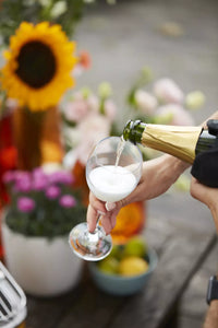 Set of champagne stopper and wine cooler