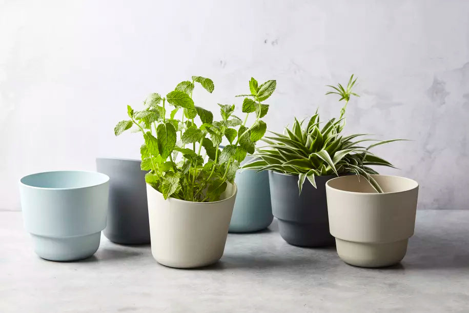 media_ambienceimage_6