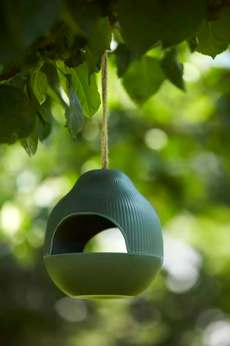 media_ambienceimage_1