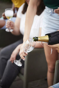 Set of champagne stopper and wine cooler