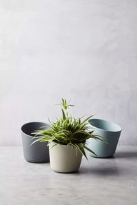 Kruidenpot uit bamboevezel donkergrijs